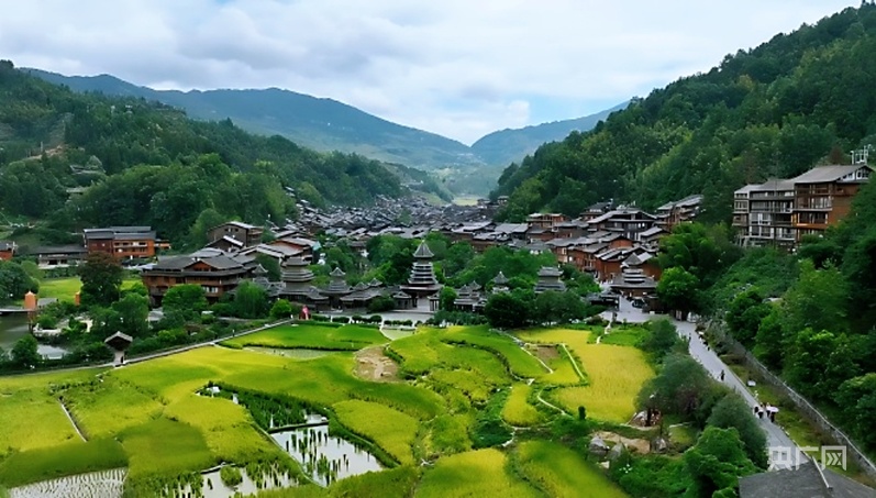 
北京中日友好医院黄牛代挂号电话票贩子号贩子网上预约挂号,住院检查加快,【习声回响】古韵新风润侗寨 文旅融合绽光彩