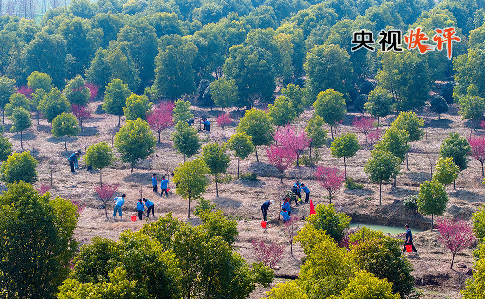 
北京中医院黄牛代挂号电话票贩子号贩子网上预约挂号,住院检查加快,【央视快评】让中国式现代化的底色更加亮丽