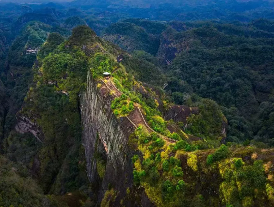
上海儿童医学中心黄牛代挂号电话票贩子号贩子网上预约挂号,住院检查加快,解锁春日之旅 限定版“花海列车”别错过