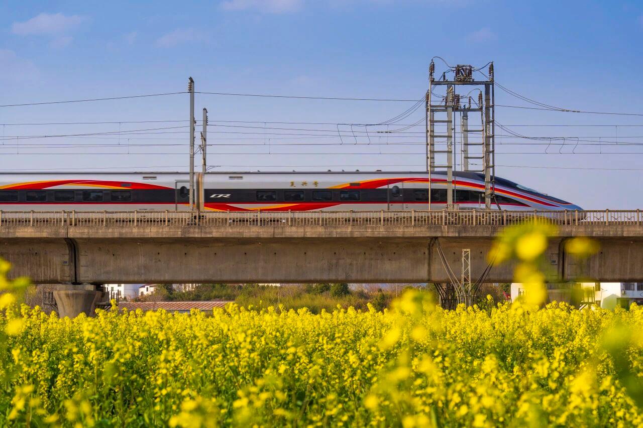 △复兴号驶过开满油菜花的旷野。