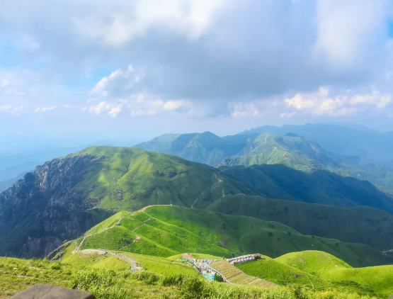 
上海儿童医学中心黄牛代挂号电话票贩子号贩子网上预约挂号,住院检查加快,解锁春日之旅 限定版“花海列车”别错过