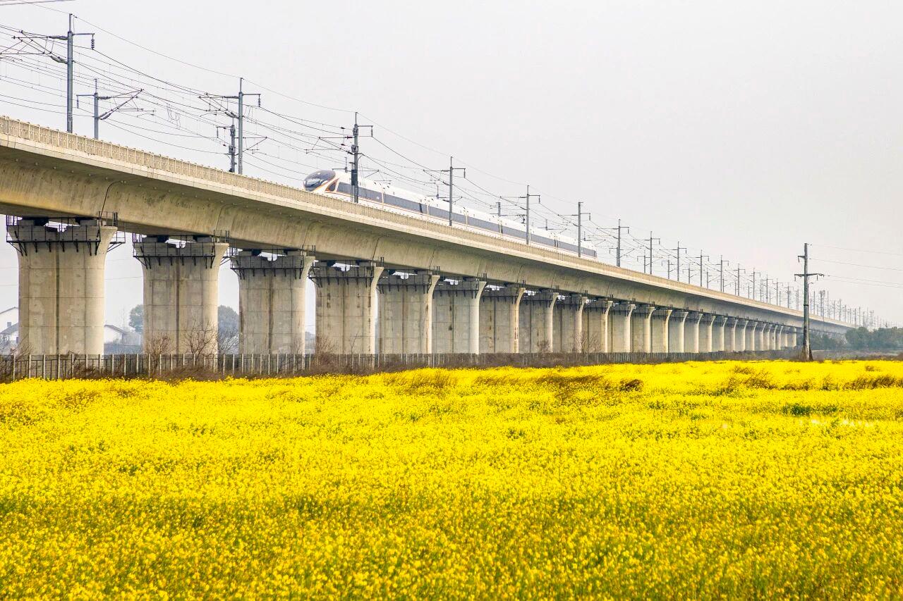 △飞驰的复兴号穿越油菜花海。