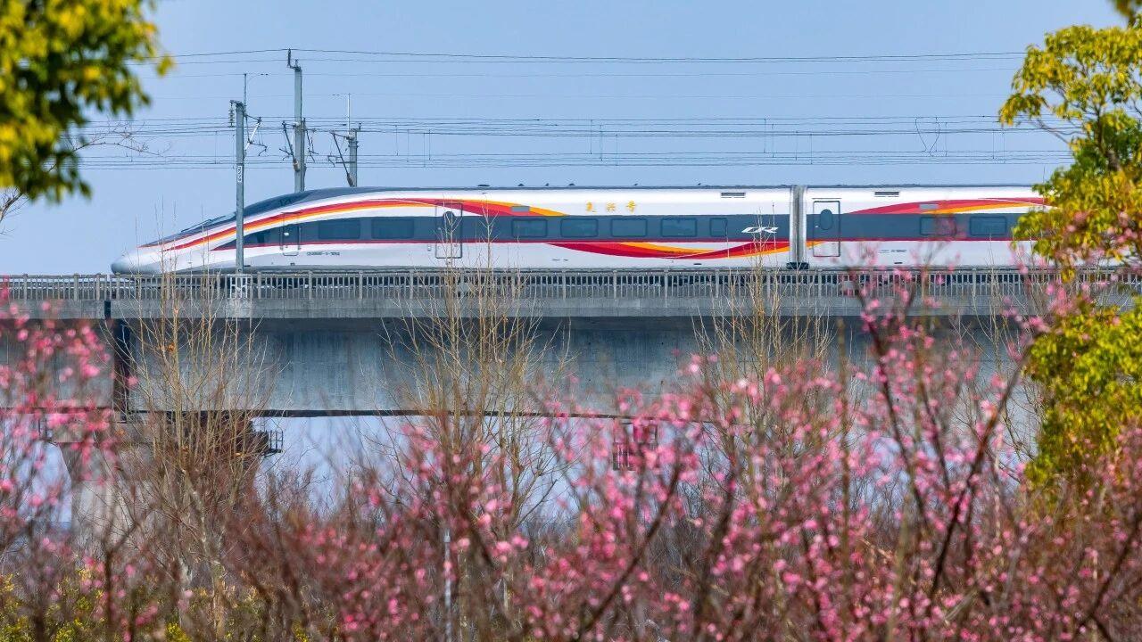 △赣江特大桥旁，梅花竞相绽放，复兴号穿行而过。