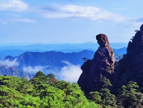 
上海儿童医学中心黄牛代挂号电话票贩子号贩子网上预约挂号,住院检查加快,解锁春日之旅 限定版“花海列车”别错过