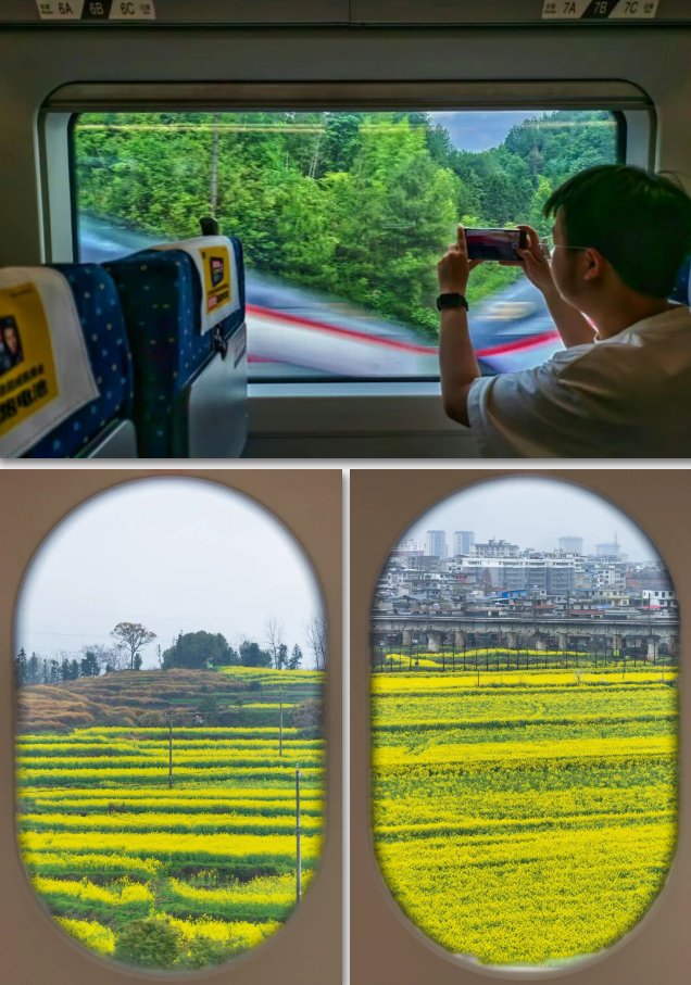 
上海儿童医学中心黄牛代挂号电话票贩子号贩子网上预约挂号,住院检查加快,解锁春日之旅 限定版“花海列车”别错过