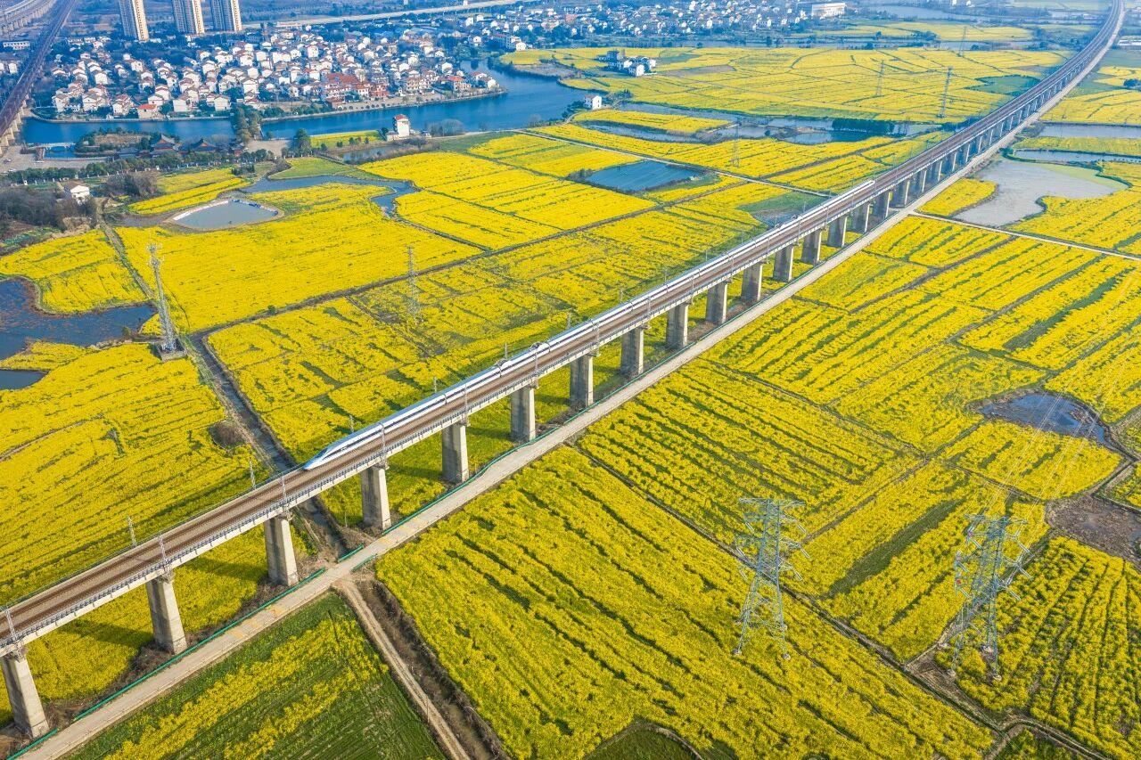 △高铁列车、油菜花田与水网村落交织成画。