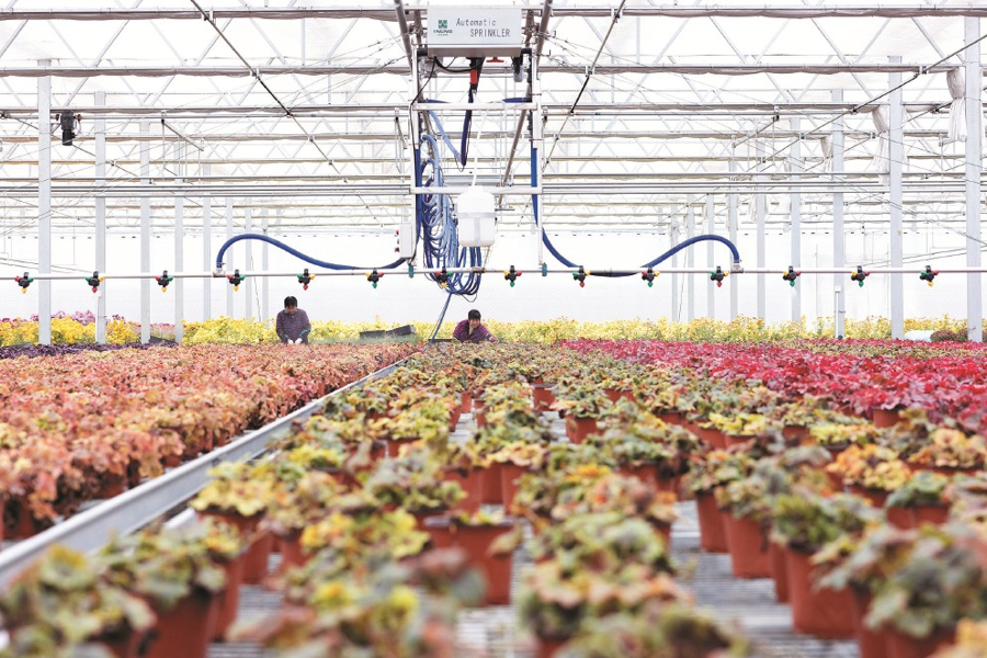 
北医六院黄牛代挂号电话票贩子号贩子网上预约挂号,住院检查加快,乡村振兴，向科技要产量向创新要未来