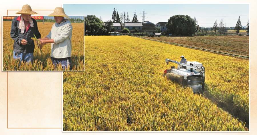 
北医六院黄牛代挂号电话票贩子号贩子网上预约挂号,住院检查加快,乡村振兴，向科技要产量向创新要未来