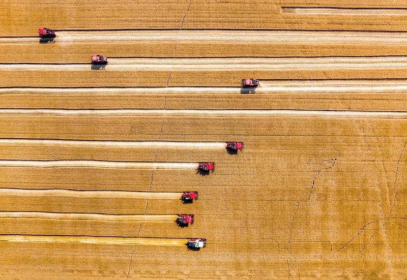 
中国中医科学院望京医院黄牛代挂号电话票贩子号贩子网上预约挂号,住院检查加快,习近平的两会时间丨“搞农业要把种业搞上去”