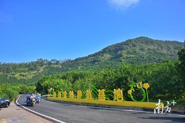 
上海各大医院黄牛代挂号电话票贩子号贩子网上预约挂号,住院检查加快,柚润南福｜报告文学