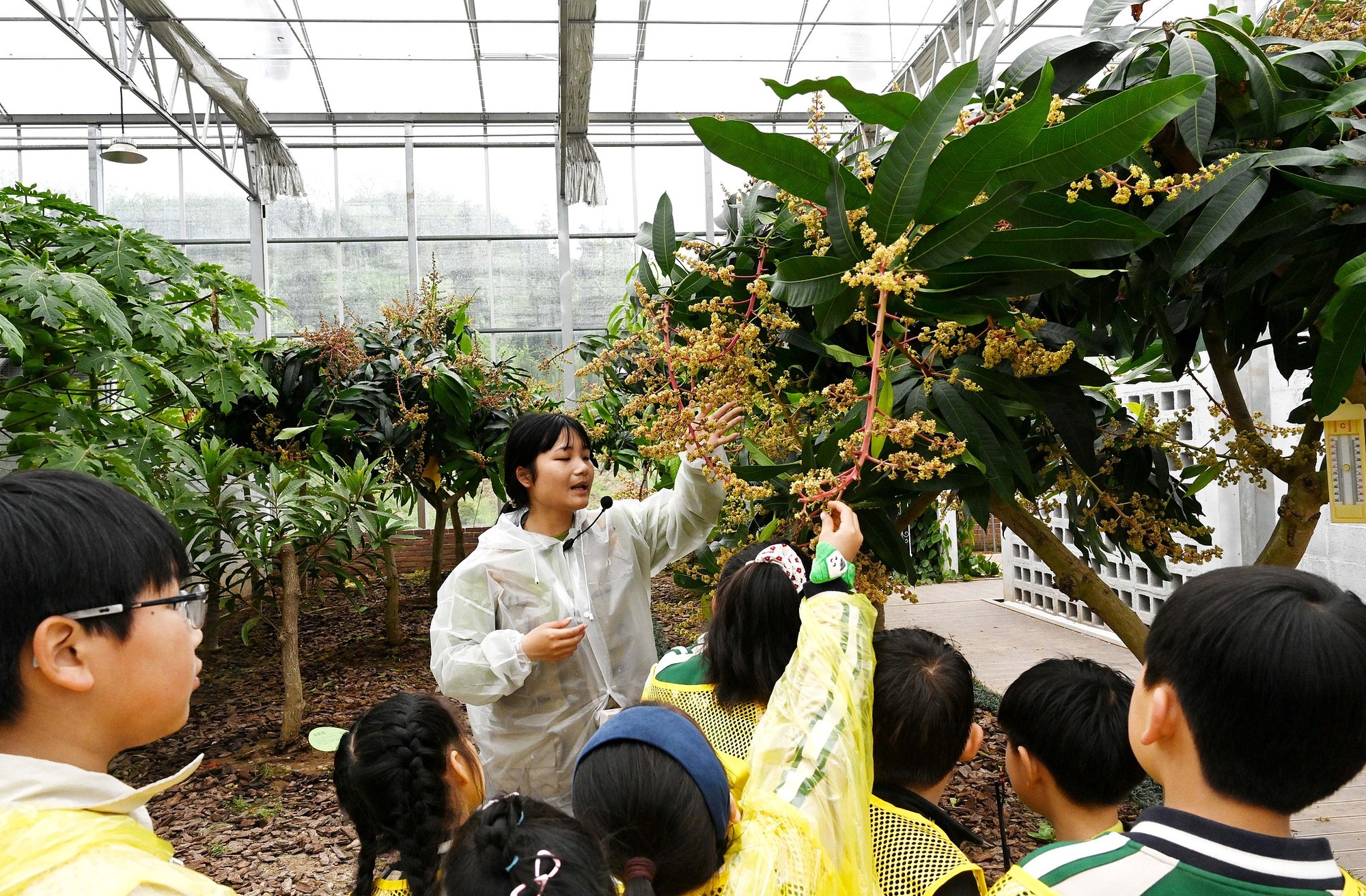 
广东省人民医院黄牛代挂号电话票贩子号贩子网上预约挂号,住院检查加快,晶采观察丨风景这边独好 “学习型旅行”成假日经济新趋势