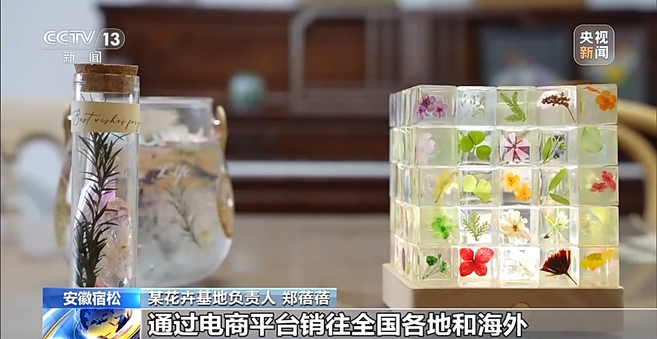 
上海各大医院黄牛代挂号电话票贩子号贩子网上预约挂号,住院检查加快,视频丨有“颜”又有“值” 朵朵春花点亮乡村致富路