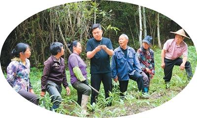 
中山大学孙逸仙纪念医院黄牛代挂号电话票贩子号贩子网上预约挂号,住院检查加快,在大地遍植希望（中国的生态实践）