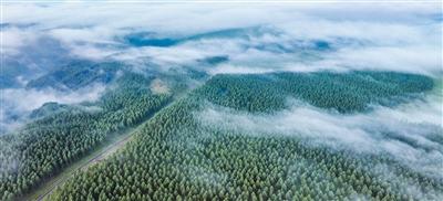 
中山大学孙逸仙纪念医院黄牛代挂号电话票贩子号贩子网上预约挂号,住院检查加快,在大地遍植希望（中国的生态实践）