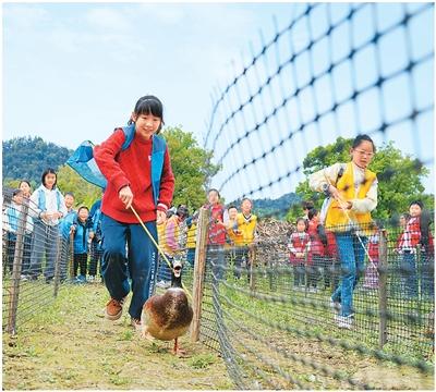 
南京明基医院黄牛代挂号电话票贩子号贩子网上预约挂号,住院检查加快,春光里乐享春假