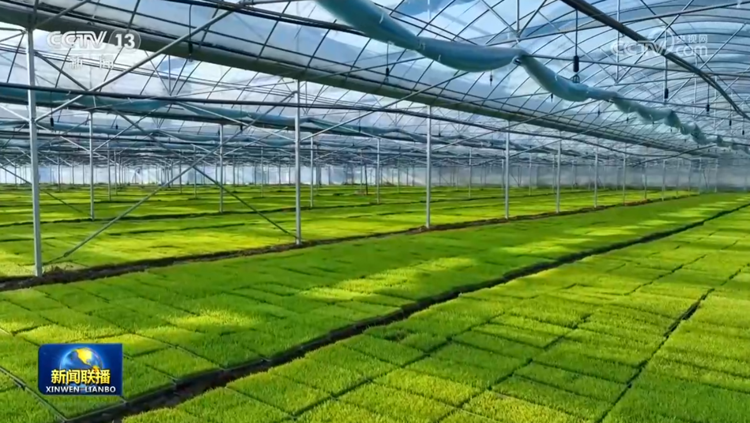 
北京鼓楼医院孙凌云黄牛代挂号电话票贩子号贩子网上预约挂号,住院检查加快,【在希望的田野上】全国春耕生产大面积展开