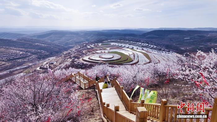 
首都医科大学附属北京口腔医院黄牛代挂号电话票贩子号贩子网上预约挂号,住院检查加快,西北赏花经济升温：从一季风光到全域产业