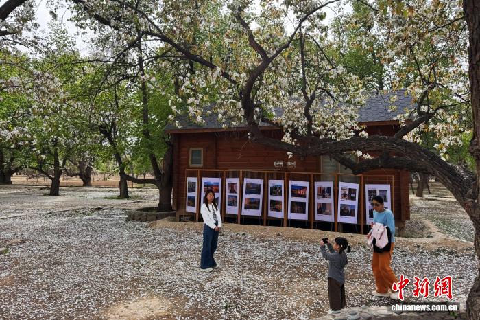 
首都医科大学附属北京口腔医院黄牛代挂号电话票贩子号贩子网上预约挂号,住院检查加快,西北赏花经济升温：从一季风光到全域产业