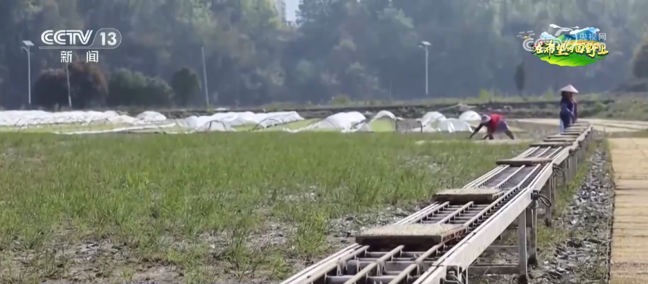 
南京各大医院黄牛代挂号电话票贩子号贩子网上预约挂号,住院检查加快,数智农具不断“上新”、网络成为“新农资”智慧农业为乡村插上“科技翅膀”