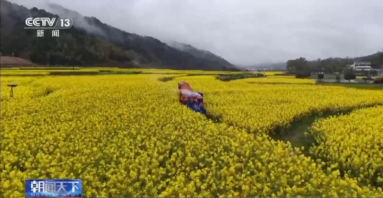 
南京儿童医院黄牛代挂号电话票贩子号贩子网上预约挂号,住院检查加快,视频丨春日限定到四季长红 解锁景区如何让游客“为心动买单”