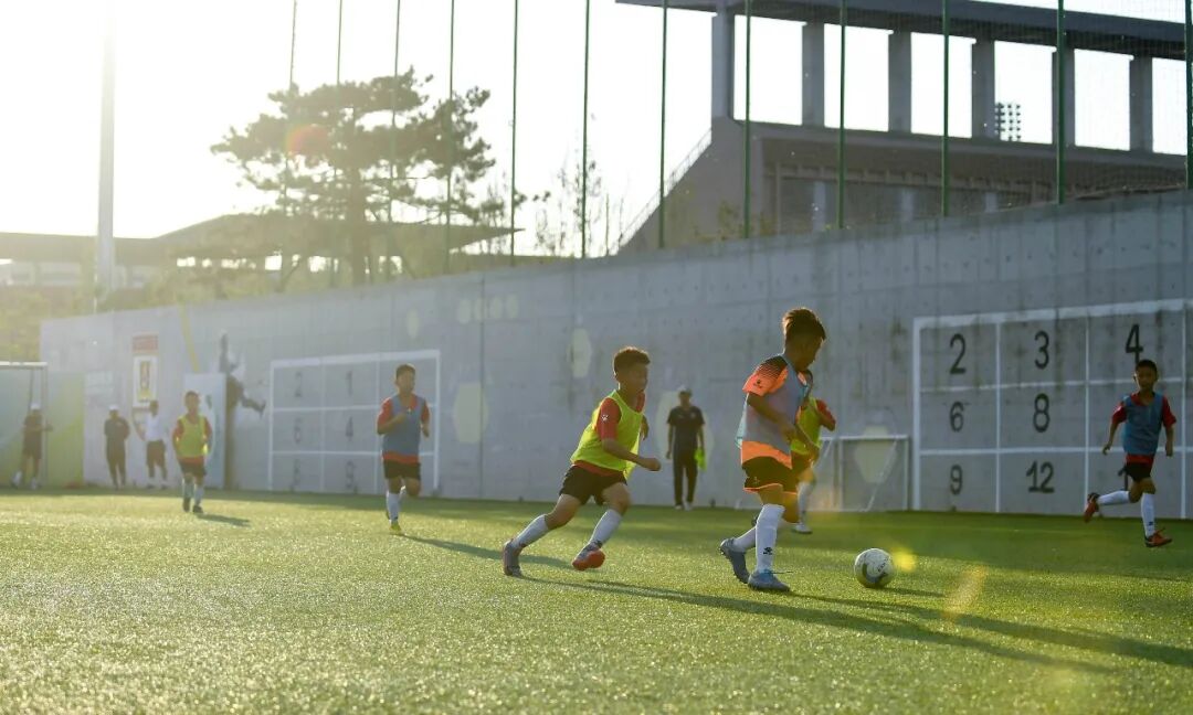 
江苏省人民医院黄牛代挂号电话票贩子号贩子网上预约挂号,住院检查加快,【侠客岛】让未成年人踢假球、改年龄？应该“罪加一等”