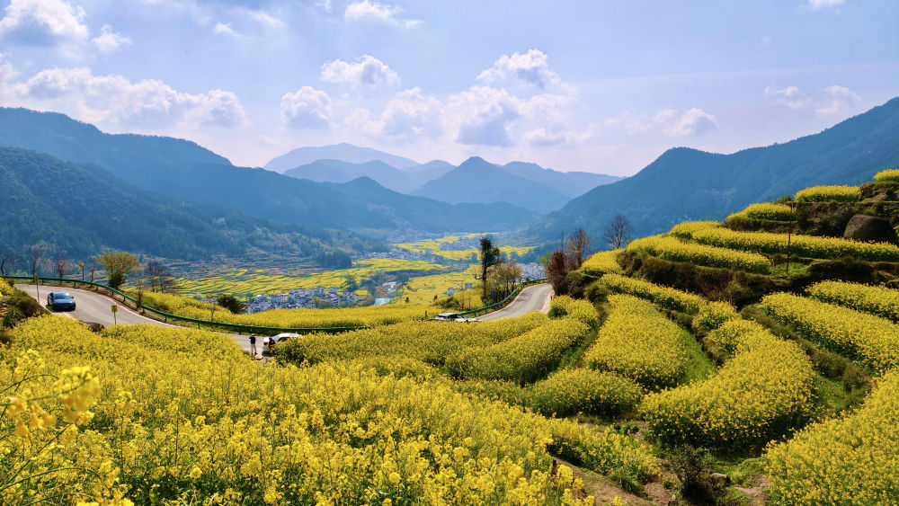 
广州各大医院黄牛代挂号电话票贩子号贩子网上预约挂号,住院检查加快,春日经济新图景｜这份原生态，守住了春天最硬核的美！