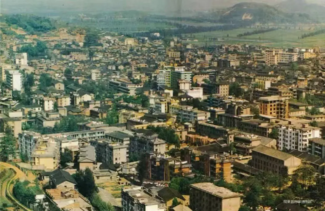 首都医科大学附属北京中医院黄牛代挂号电话票贩子号贩子网上预约挂号,住院检查加快,【学习小组】“不能寄希望于一下子抱个‘金娃娃’”|总书记深“话”政绩观②