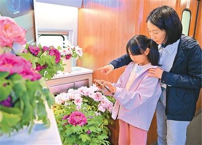 
北京大学肿瘤医院黄牛代挂号电话票贩子号贩子网上预约挂号,住院检查加快,“一朵花”带动文旅消费升级