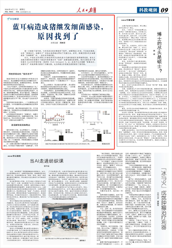
西安西京医院黄牛代挂号电话票贩子号贩子网上预约挂号,住院检查加快,蓝耳病造成猪继发细菌感染，原因找到了（科技瞭望）