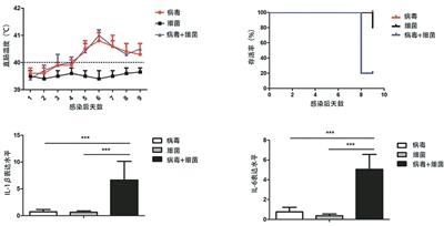 
西安西京医院黄牛代挂号电话票贩子号贩子网上预约挂号,住院检查加快,蓝耳病造成猪继发细菌感染，原因找到了（科技瞭望）