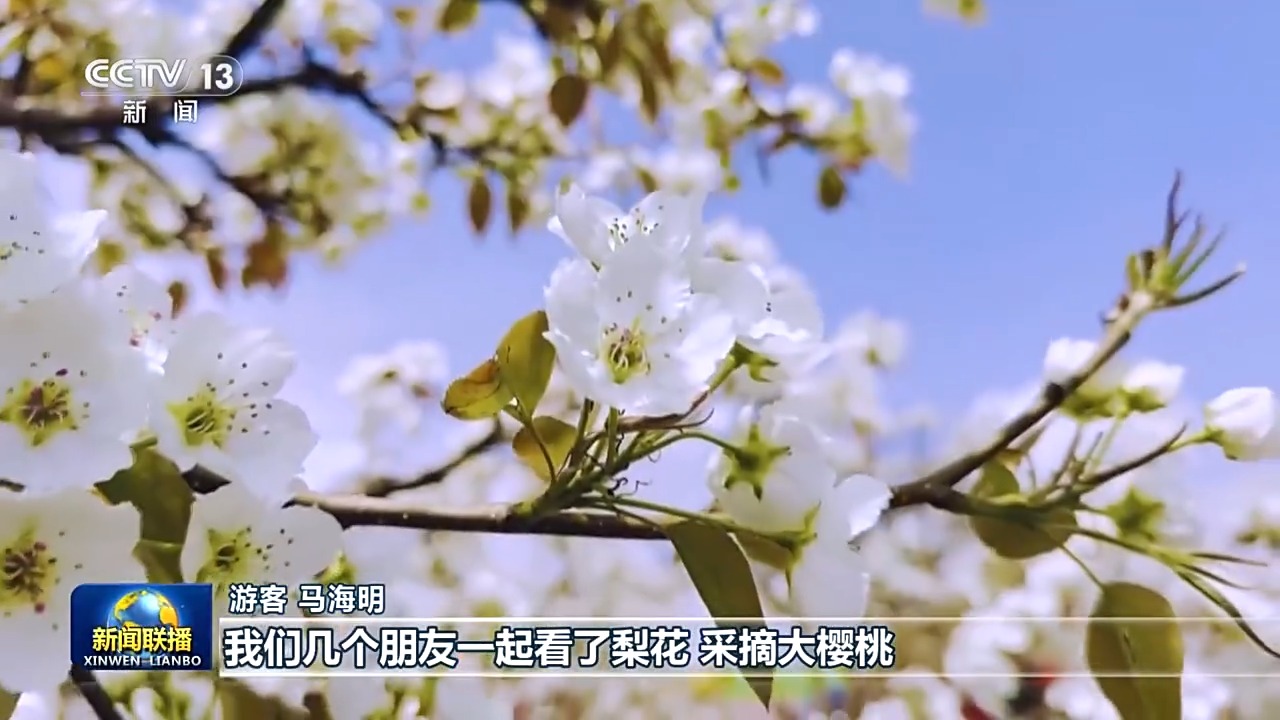 
北京广安门中医院黄牛代挂号电话票贩子号贩子网上预约挂号,住院检查加快,视频丨百花竞放 文旅融合绘就春日好时光