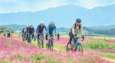
北京大学肿瘤医院黄牛代挂号电话票贩子号贩子网上预约挂号,住院检查加快,“一朵花”带动文旅消费升级