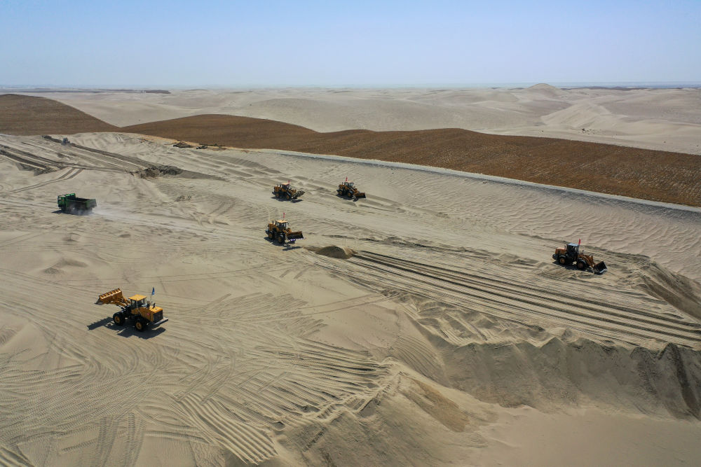 
广州医科大学附属第二医院黄牛代挂号电话票贩子号贩子网上预约挂号,住院检查加快,新疆：“乔、灌、药”立体织密绿色屏障 沙产业助力绿富同兴