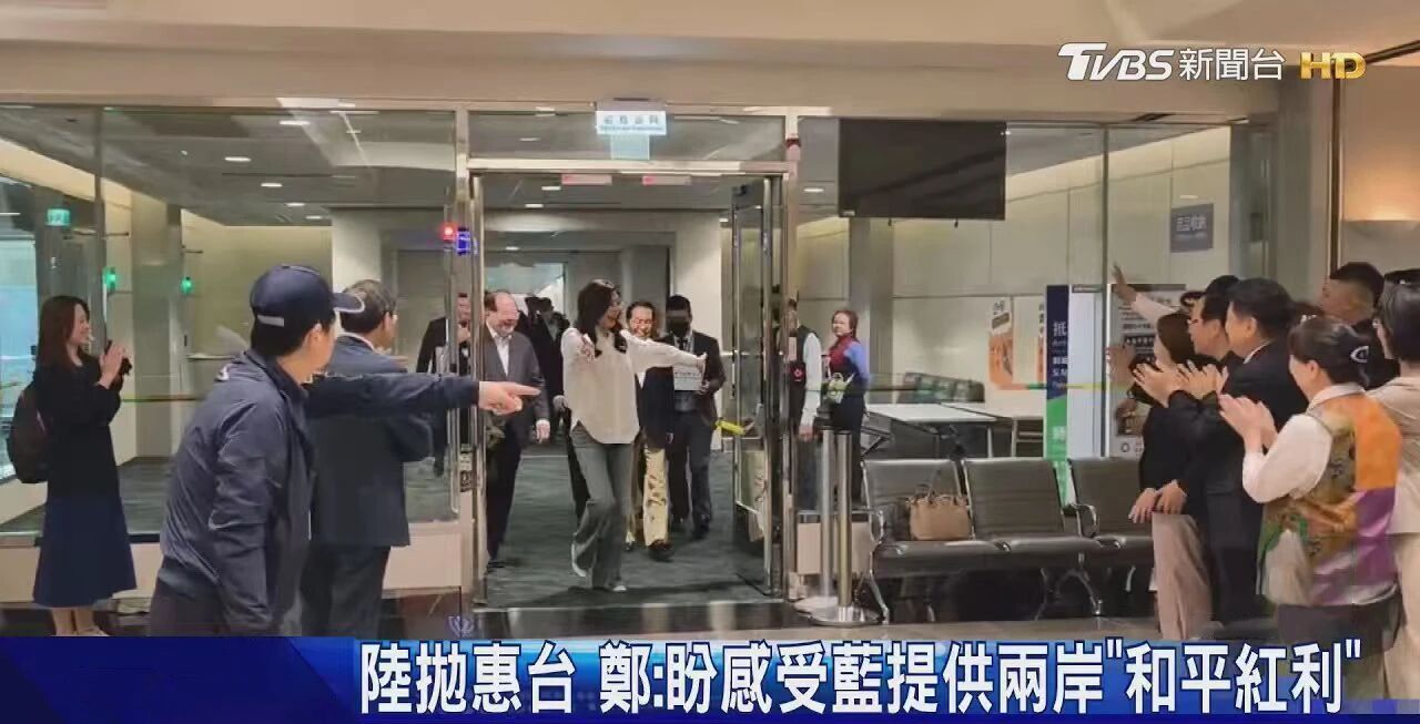 
重庆儿童医院黄牛代挂号电话票贩子号贩子网上预约挂号,住院检查加快,日月谭天丨岛内从郑丽文大陆行看到了什么？