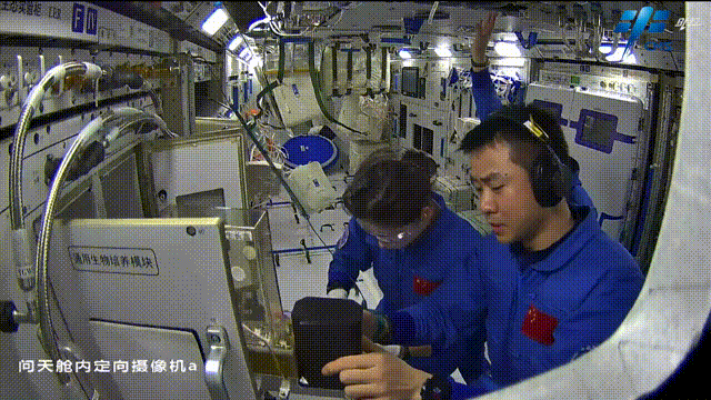 
博爱医院黄牛代挂号电话票贩子号贩子网上预约挂号,住院检查加快,生菜、水稻、番茄、小葱……10年间 “天宫菜园”品种丰富收获不断