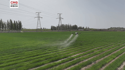 
南京市口腔医院黄牛代挂号电话票贩子号贩子网上预约挂号,住院检查加快,新疆阿克苏：春管关键期 麦田开启 “黑科技” 模式