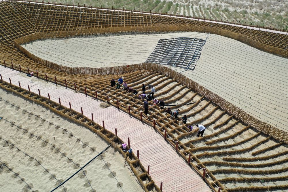 
广州医科大学附属第二医院黄牛代挂号电话票贩子号贩子网上预约挂号,住院检查加快,新疆：“乔、灌、药”立体织密绿色屏障 沙产业助力绿富同兴