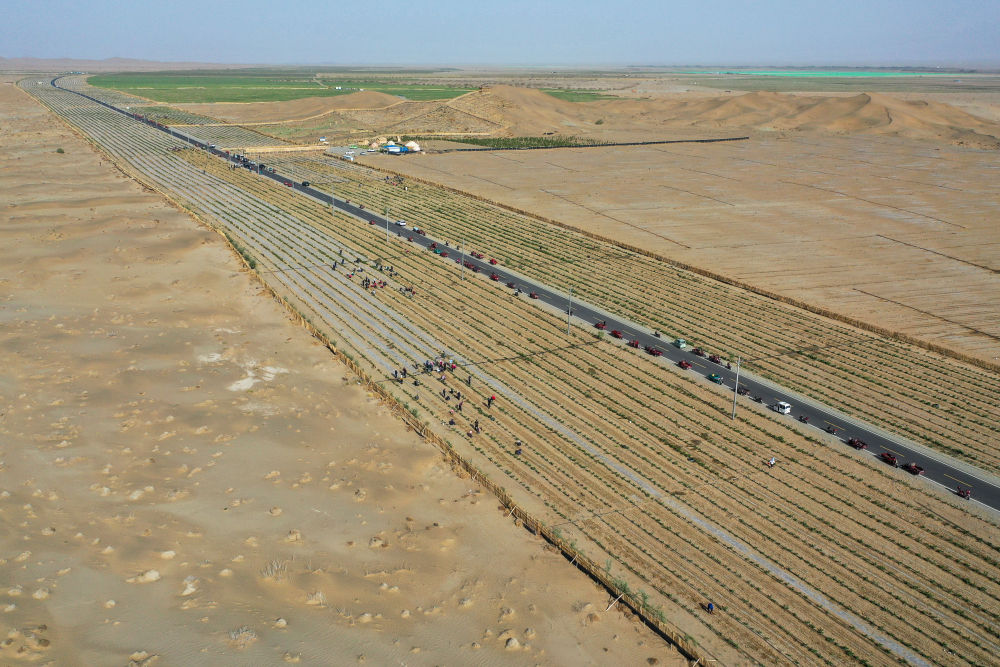 
广州医科大学附属第二医院黄牛代挂号电话票贩子号贩子网上预约挂号,住院检查加快,新疆：“乔、灌、药”立体织密绿色屏障 沙产业助力绿富同兴