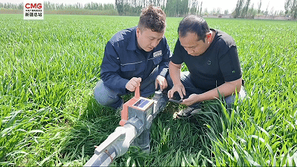 
南京市口腔医院黄牛代挂号电话票贩子号贩子网上预约挂号,住院检查加快,新疆阿克苏：春管关键期 麦田开启 “黑科技” 模式