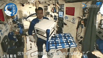 
博爱医院黄牛代挂号电话票贩子号贩子网上预约挂号,住院检查加快,生菜、水稻、番茄、小葱……10年间 “天宫菜园”品种丰富收获不断