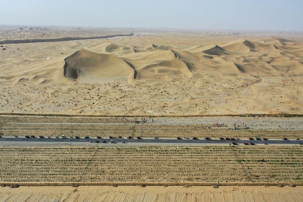 
广州医科大学附属第二医院黄牛代挂号电话票贩子号贩子网上预约挂号,住院检查加快,新疆：“乔、灌、药”立体织密绿色屏障 沙产业助力绿富同兴