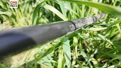 
南京市口腔医院黄牛代挂号电话票贩子号贩子网上预约挂号,住院检查加快,新疆阿克苏：春管关键期 麦田开启 “黑科技” 模式