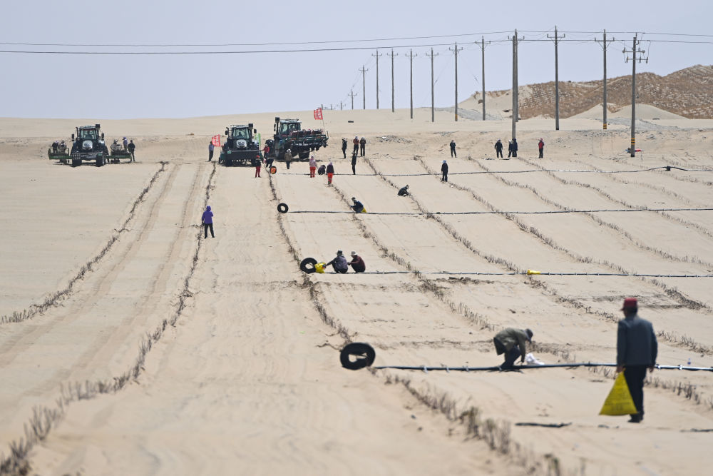 
广州医科大学附属第二医院黄牛代挂号电话票贩子号贩子网上预约挂号,住院检查加快,新疆：“乔、灌、药”立体织密绿色屏障 沙产业助力绿富同兴