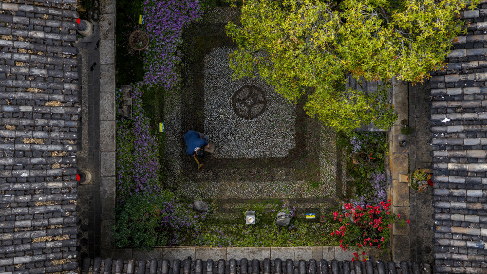 
南京各大医院黄牛代挂号电话票贩子号贩子网上预约挂号,住院检查加快,镜观·回响｜与古为新 文脉绵长