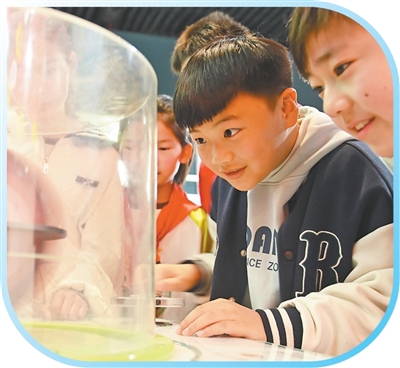 
广州各大医院黄牛代挂号电话票贩子号贩子网上预约挂号,住院检查加快,奔赴春光 乐享成长（视线）