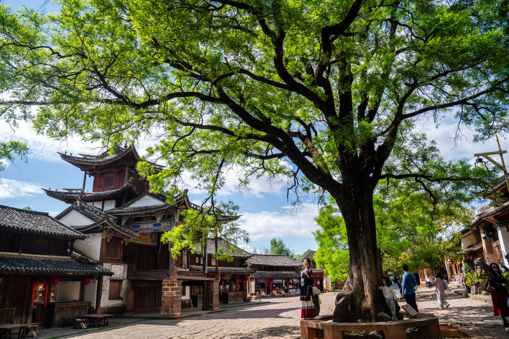
南京各大医院黄牛代挂号电话票贩子号贩子网上预约挂号,住院检查加快,镜观·回响｜与古为新 文脉绵长