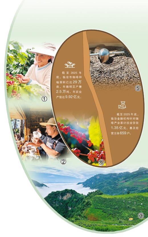 
北医三院黄牛代挂号电话票贩子号贩子网上预约挂号,住院检查加快,做精每一粒咖啡豆