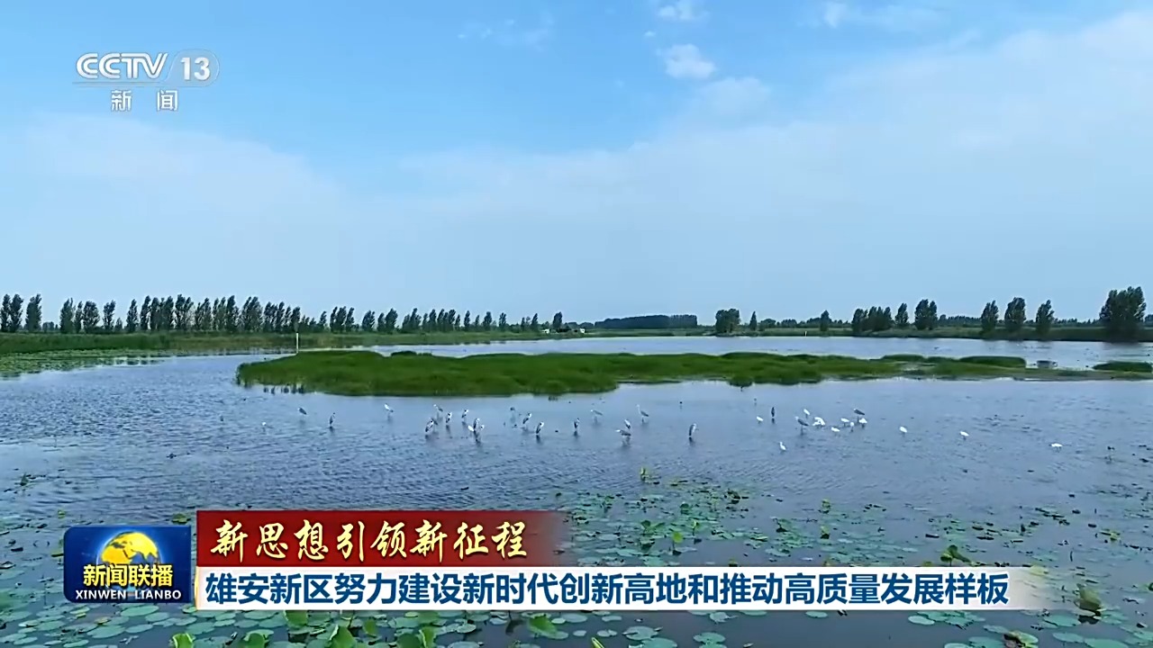 
中国医学科学院肿瘤医院黄牛代挂号电话票贩子号贩子网上预约挂号,住院检查加快,新思想引领新征程丨雄安新区努力建设新时代创新高地和推动高质量发展样板