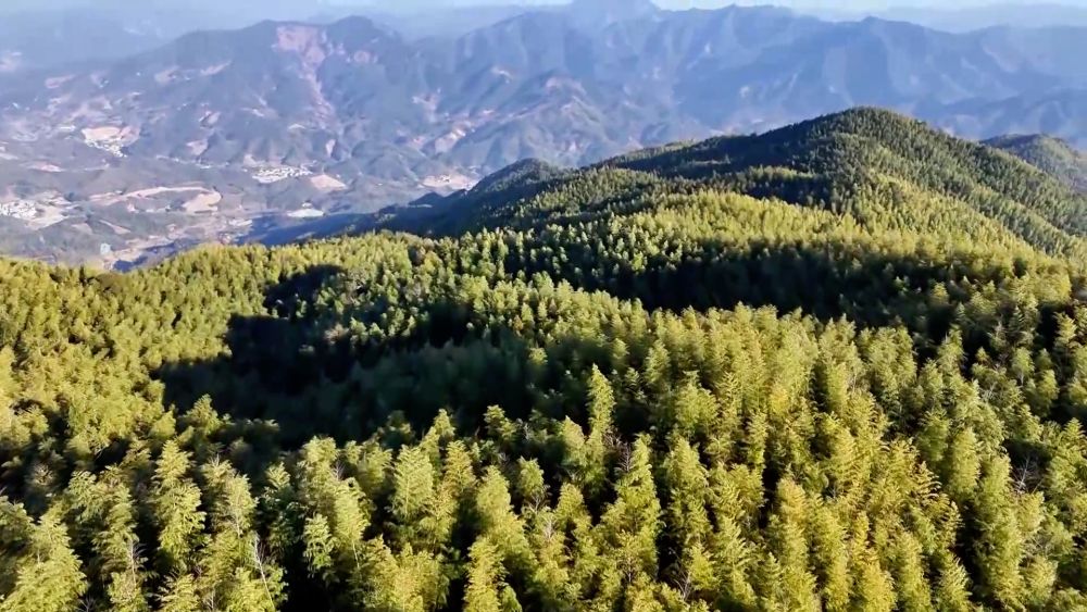 
天津肿瘤医院黄牛代挂号电话票贩子号贩子网上预约挂号,住院检查加快,新华视点｜科技赋能 特色产业助力乡村振兴