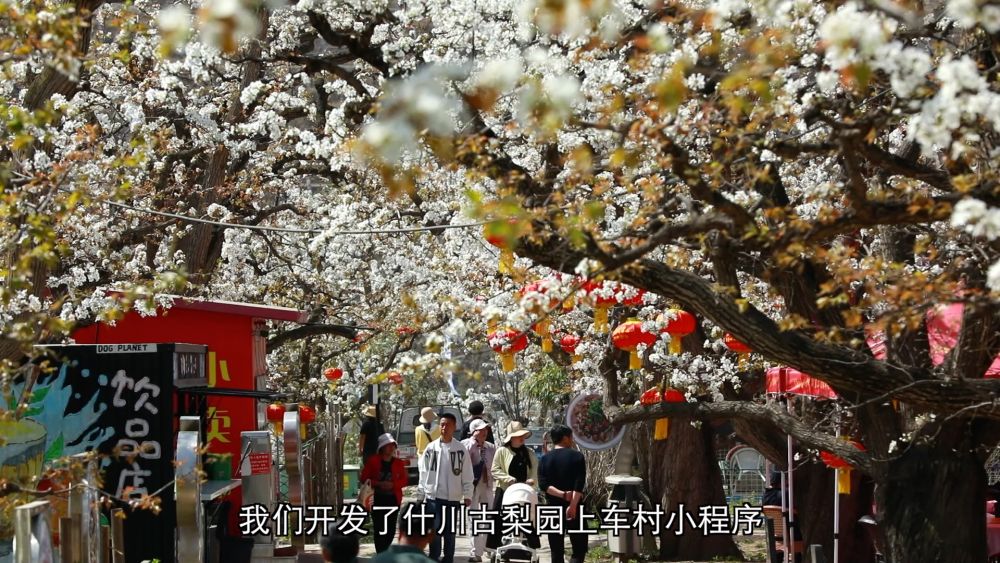 
天津肿瘤医院黄牛代挂号电话票贩子号贩子网上预约挂号,住院检查加快,新华视点｜科技赋能 特色产业助力乡村振兴